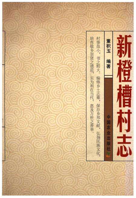 《新橙槽村志》.pdf电子版_宁夏回族自治区志缩略图
