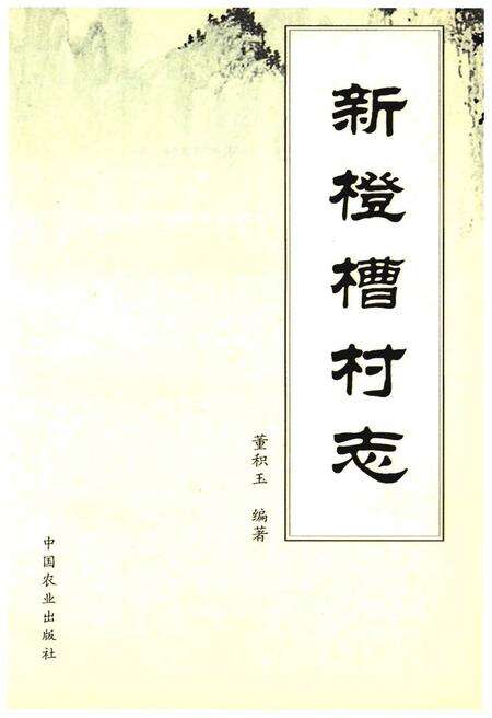 《新橙槽村志》.pdf电子版_宁夏回族自治区志预览图1