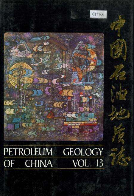 《中国石油地质志 第13卷》.pdf电子版_其他志缩略图