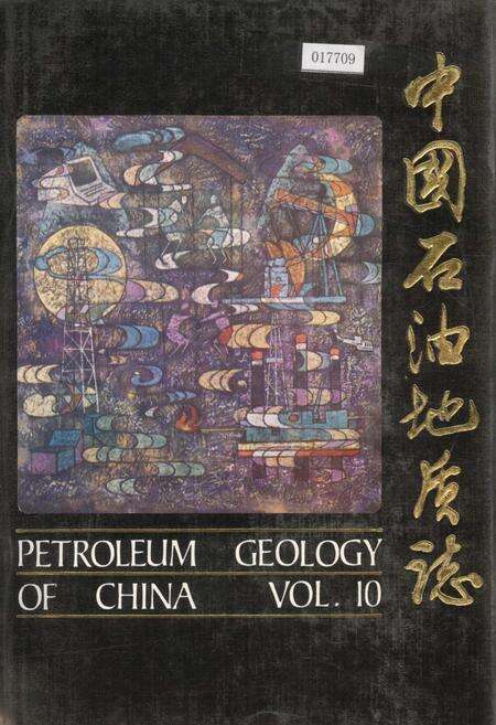 《中国石油地质志10》.pdf电子版_其他志缩略图