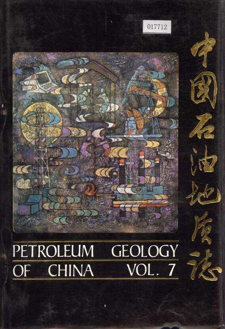 《中国石油地质志7上》.pdf电子版_其他志缩略图