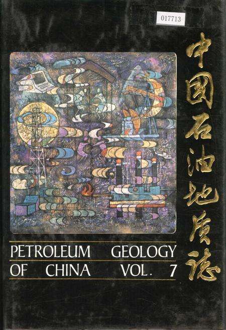 《中国石油地质志7下》.pdf电子版_其他志缩略图