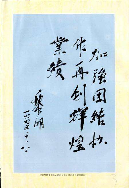 《中国二十冶志》.pdf电子版_其他志预览图4