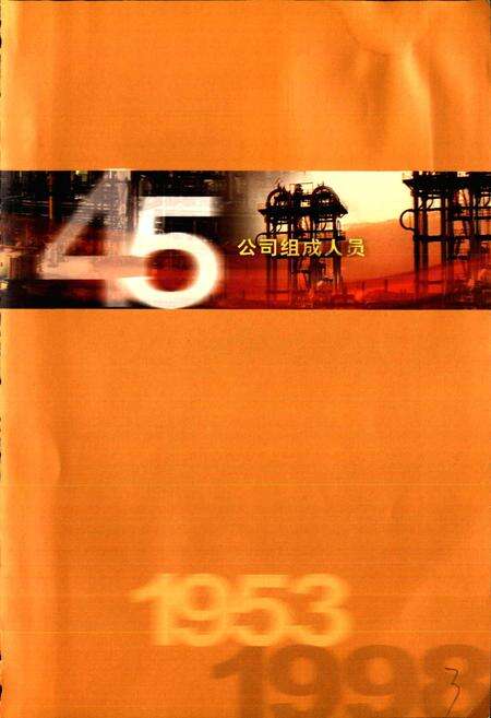 《中国石化北京石油化工工程公司志》.pdf电子版_其他志预览图5