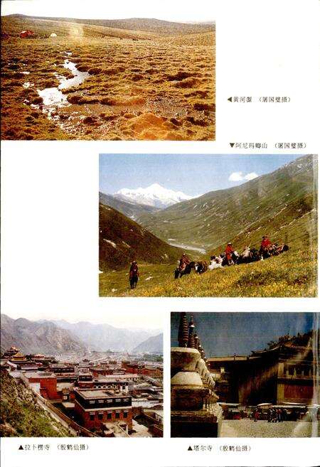 《黄河志卷十一 黄河人文志》.pdf电子版_其他志预览图4