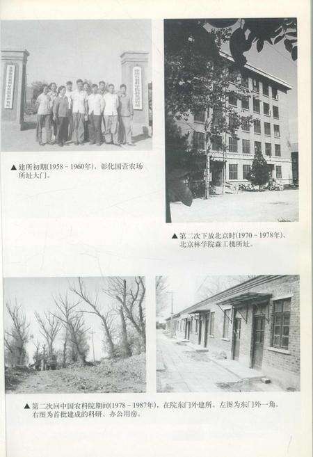 《中国农业科学院蔬菜花卉研究所志》.pdf电子版_其他志预览图2