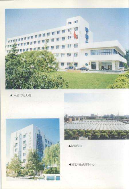 《中国农业科学院蔬菜花卉研究所志》.pdf电子版_其他志预览图3