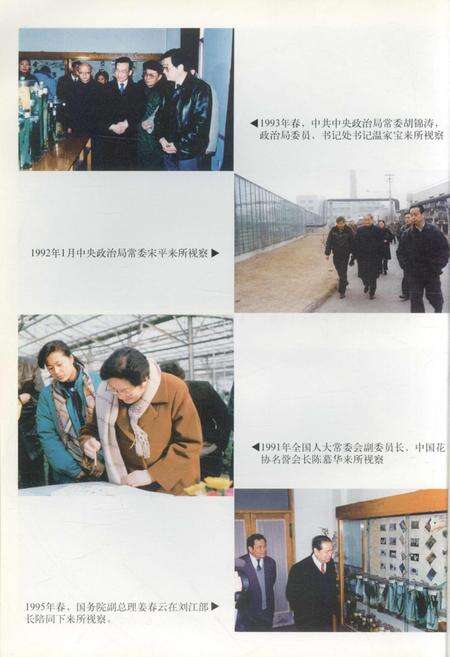 《中国农业科学院蔬菜花卉研究所志》.pdf电子版_其他志预览图5