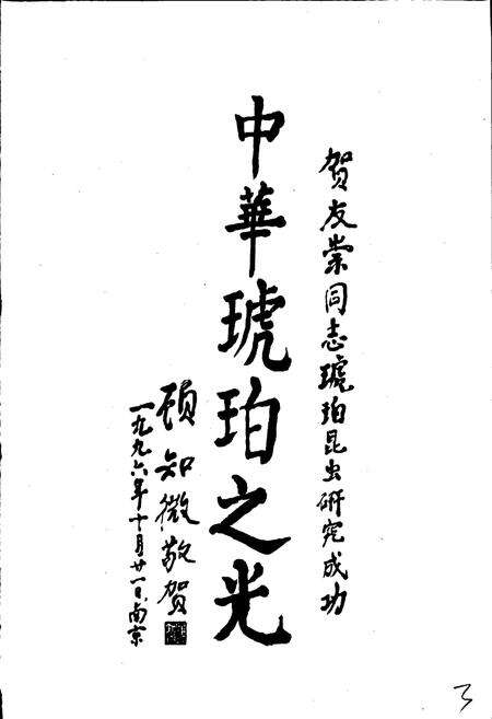 《中国琥珀昆虫志》.pdf电子版_其他志预览图5