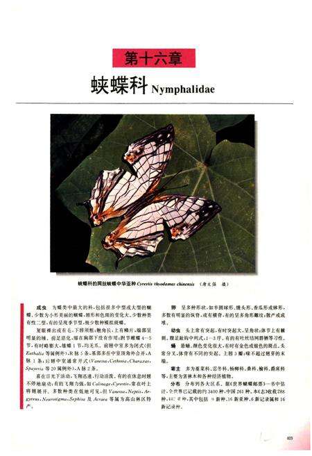 《中国蝶类志（下册）》.pdf电子版_其他志预览图2