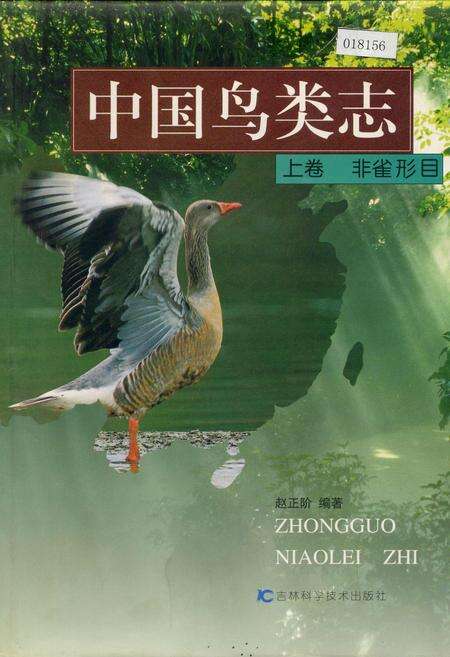 《中国鸟类志 上卷 非雀形目》.pdf电子版_其他志缩略图