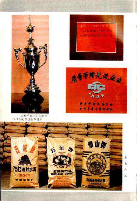 《中国水泥厂志》.pdf电子版_其他志预览图5