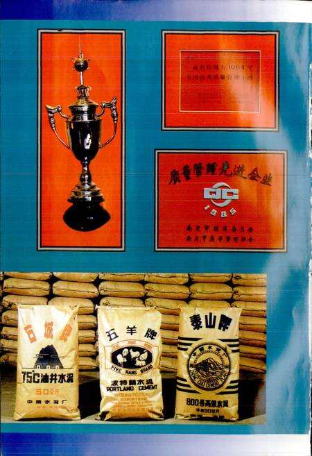 《中国水泥厂志》.pdf电子版_其他志预览图4