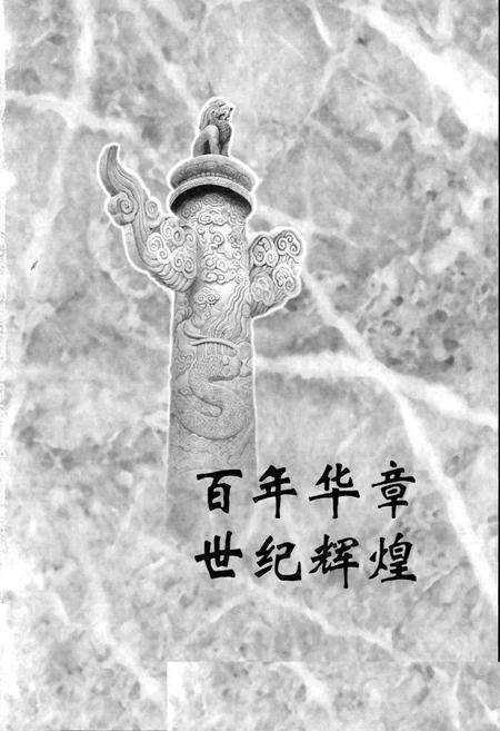 《20世纪中国文艺图文志新诗卷》.pdf电子版_其他志预览图1