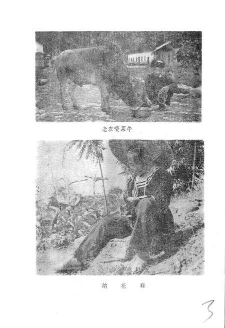 《毛南族风俗志》.pdf电子版_其他志预览图5