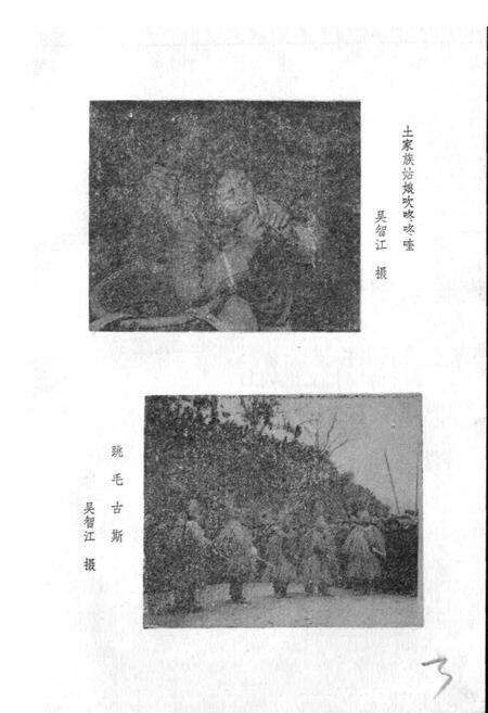 《土家族风俗志》.pdf电子版_其他志预览图3