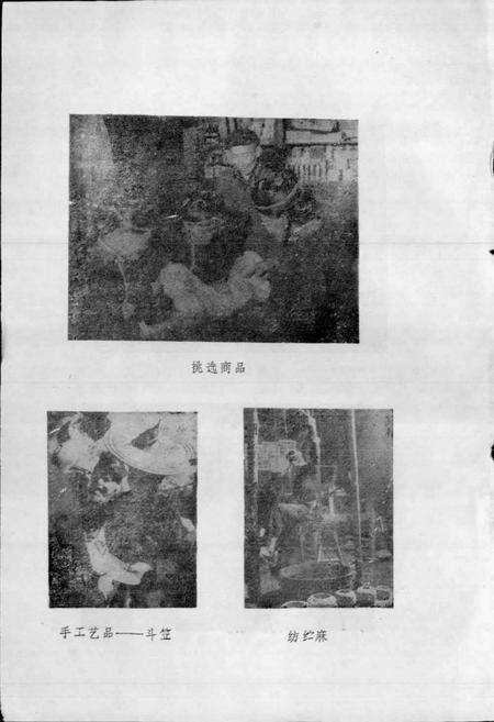 《畲族风俗志》.pdf电子版_其他志预览图4