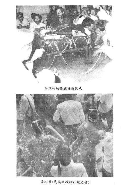 《傣族风俗志》.pdf电子版_其他志预览图4