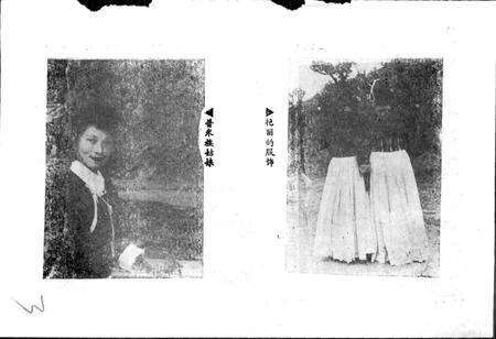 《普米族风俗志》.pdf电子版_其他志预览图4