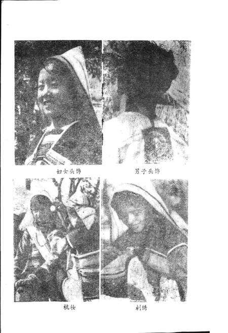 《基诺族风俗志》.pdf电子版_其他志预览图5