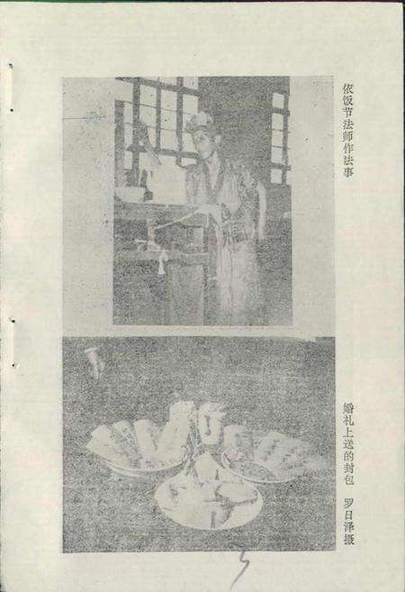 《仫佬族风俗志》.pdf电子版_其他志预览图4