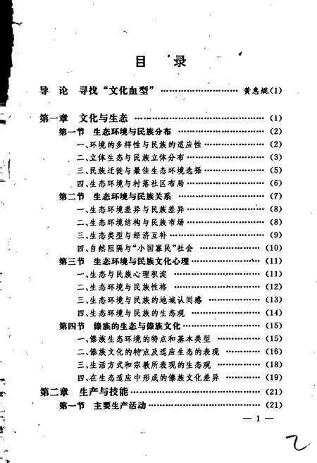 《傣族文化志》.pdf电子版_其他志预览图2