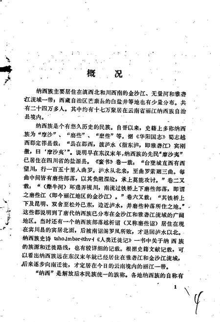 《中国少数民族语言简志纳西语简志》.pdf电子版_其他志预览图5