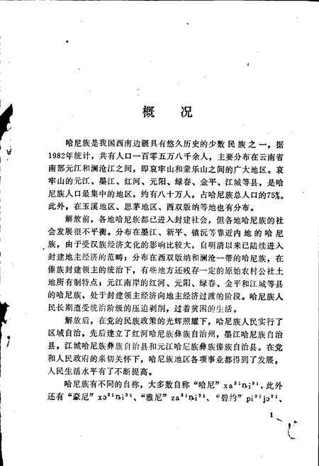 《中国少数民族语言简志哈尼语简志》.pdf电子版_其他志预览图5