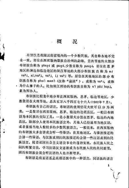 《中国少数民族语言简志布朗语简志》.pdf电子版_其他志预览图5