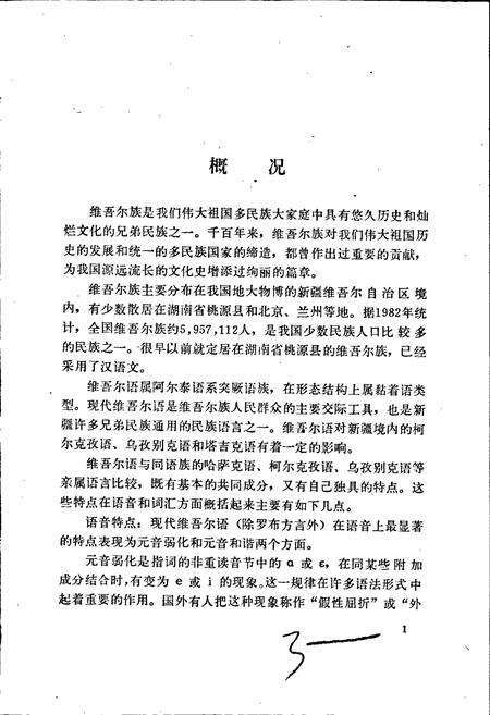 《中国少数民族语言简志维吾尔语简志》.pdf电子版_其他志预览图5