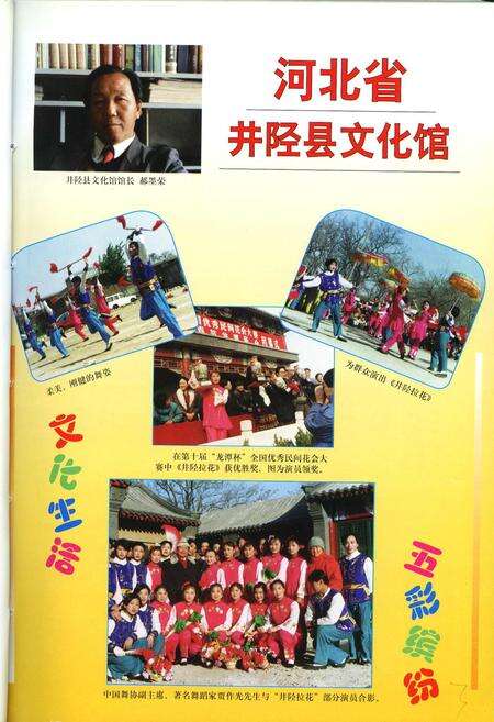 《中国文化馆志》.pdf电子版_其他志预览图5
