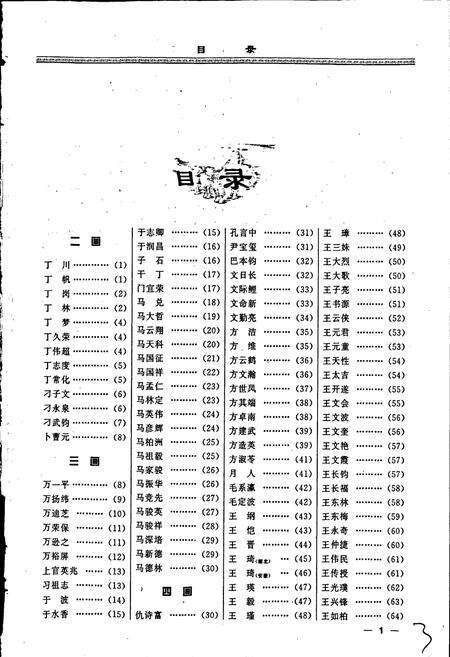 《中华诗人志》.pdf电子版_其他志预览图4