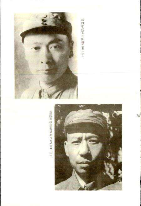 《新四军发展史》.pdf电子版_其他志预览图5