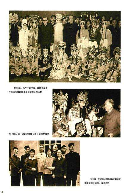 《蒲州梆子志》.pdf电子版_其他志预览图5