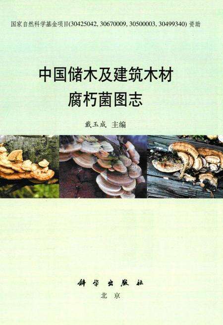 《中国储木及建筑木材腐朽菌图志》.pdf电子版_其他志预览图1