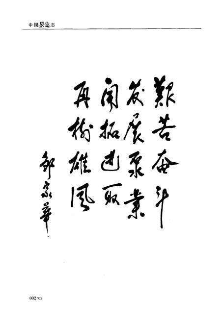 《中国泵业志(1988-2008)》.pdf电子版_其他志预览图4