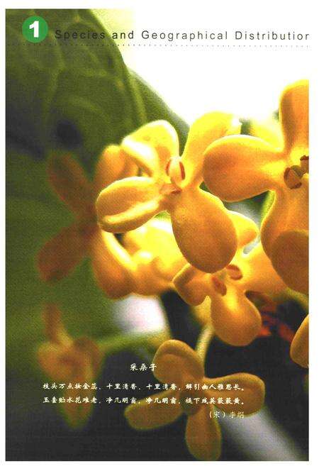 《《中国桂花品种图志》》.pdf电子版_其他志预览图5