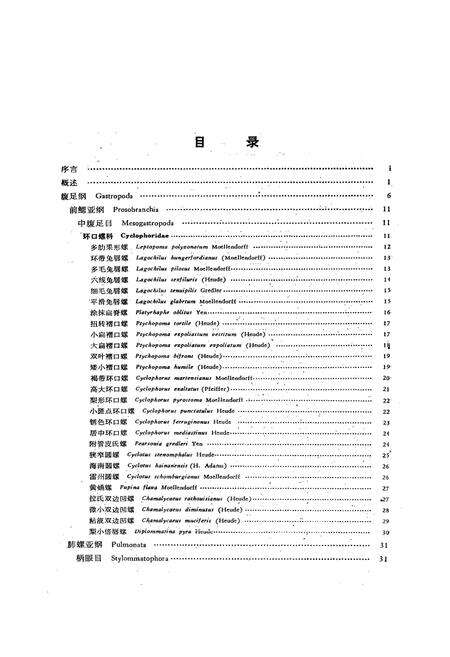 《中国经济动物志陆生软体动物》.pdf电子版_其他志预览图4