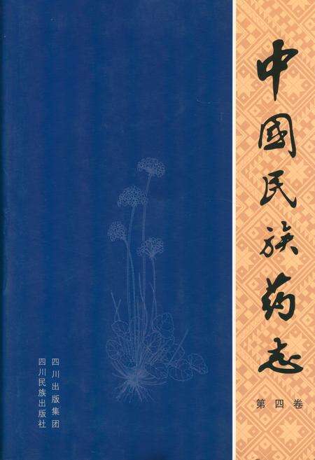 《中国民族药志(第四卷)》.pdf电子版_其他志缩略图