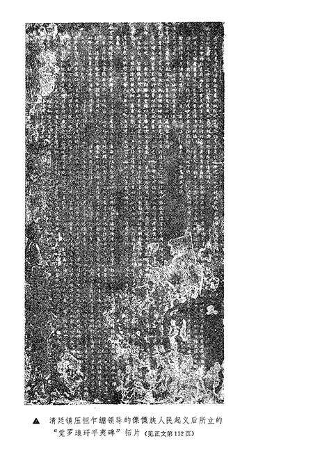 《中国少数民族历史人物志》.pdf电子版_其他志预览图5