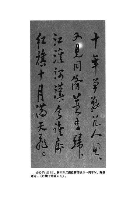 《新四军江南指挥部抗日图志》.pdf电子版_其他志预览图3