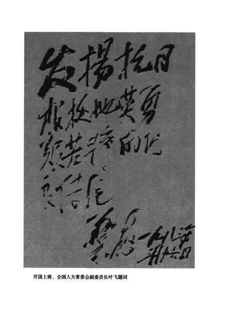 《新四军江南指挥部抗日图志》.pdf电子版_其他志预览图5