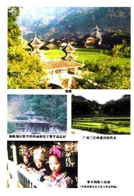 《侗族风俗志》.pdf电子版_其他志预览图5