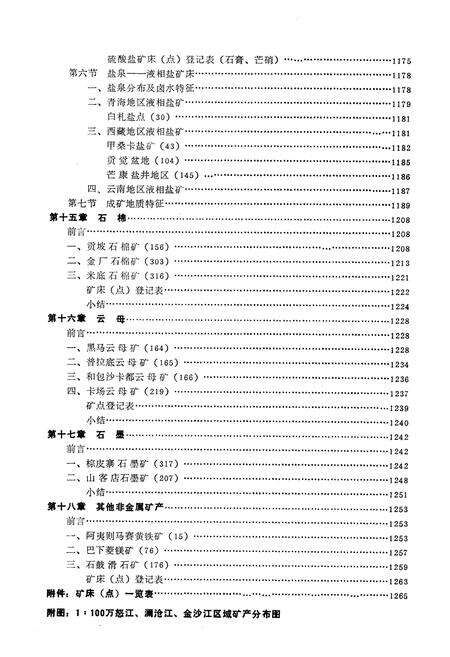 《怒江、澜沧江、金沙江区域矿产志(下册)》.pdf电子版_其他志预览图4