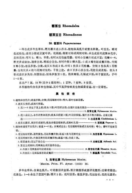 《《东北草本植物志(第四卷)》》.pdf电子版_其他志预览图5