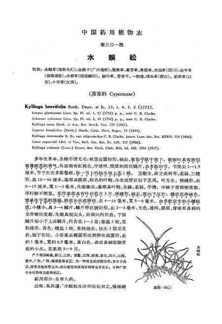 《《中国药用植物志(第七册)》》.pdf电子版_其他志预览图3