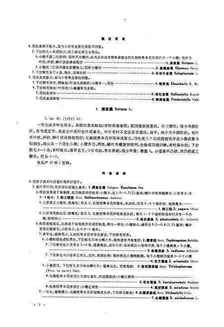 《《东北草本植物志》》.pdf电子版_其他志预览图4