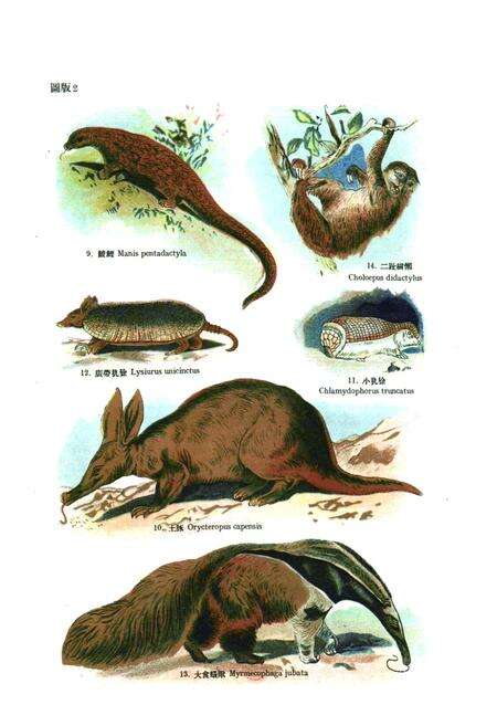 《代表性的哺乳动物志》.pdf电子版_其他志预览图2
