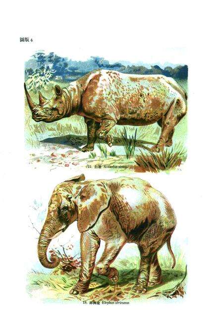 《代表性的哺乳动物志》.pdf电子版_其他志预览图4