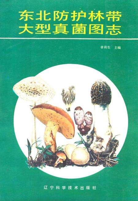 《东北防护林带大型真菌图志》.pdf电子版_其他志缩略图